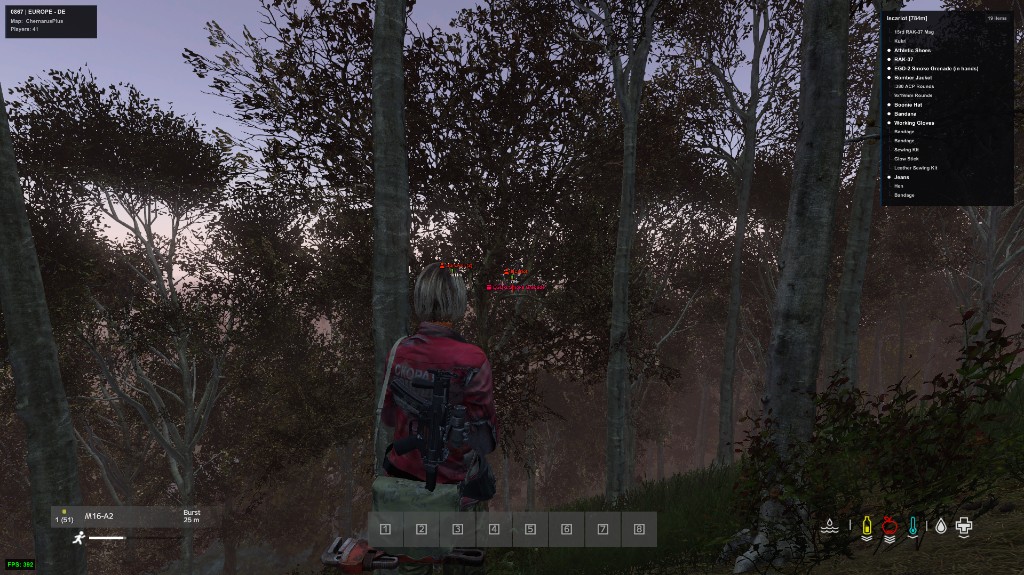 DayZ remote player inventory ESP at long range