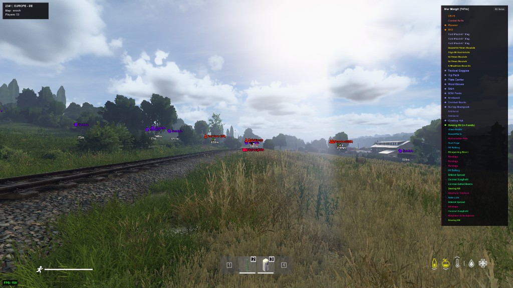 DayZ in-game remote player inventory viewer